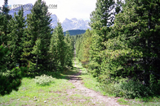 Big Elbow Trail Alberta