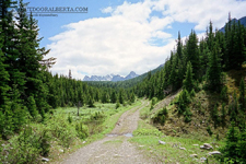 Little Elbow Trail Alberta