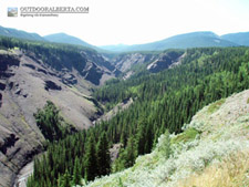 Volcano Creek Alberta