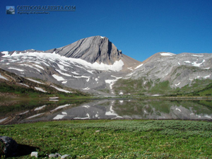 Aster Lake Kananaskis Alberta