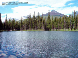 Hogarth Lakes Alberta