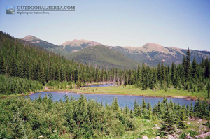 Odlum Pond Alberta