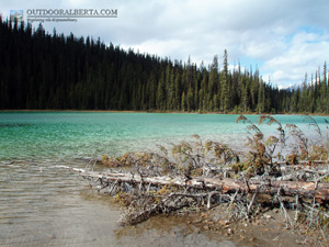 Shark  Lake Alberta