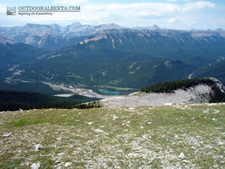 Forgetmenot Ridge Alberta