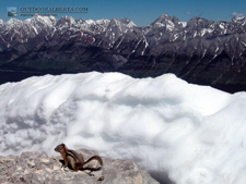 Chipmunk on Indefatigable